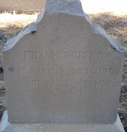 BRISKI, FRANK - Colfax County, New Mexico | FRANK BRISKI - New Mexico Gravestone Photos