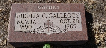 GALLEGOS, FIDELIA C - Colfax County, New Mexico | FIDELIA C GALLEGOS - New Mexico Gravestone Photos