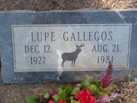 GALLEGOS, LUPE - Colfax County, New Mexico | LUPE GALLEGOS - New Mexico Gravestone Photos