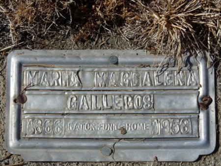 GALLEGOS, MARIA MAGDALENA - Colfax County, New Mexico | MARIA MAGDALENA GALLEGOS - New Mexico Gravestone Photos