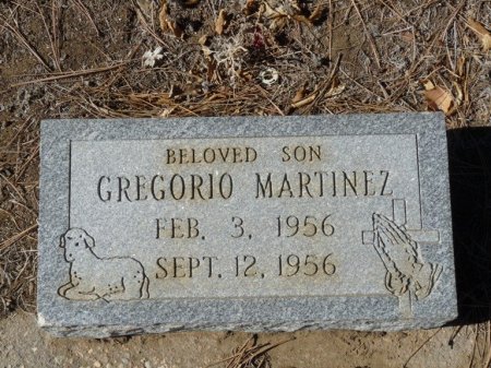 MARTINEZ, GREGORIO - Colfax County, New Mexico | GREGORIO MARTINEZ - New Mexico Gravestone Photos