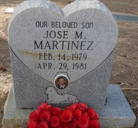 MARTINEZ, JOSE M - Colfax County, New Mexico | JOSE M MARTINEZ - New Mexico Gravestone Photos