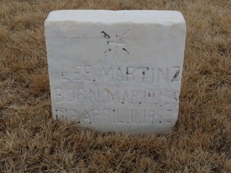 MARTINEZ, LEE - Colfax County, New Mexico | LEE MARTINEZ - New Mexico Gravestone Photos