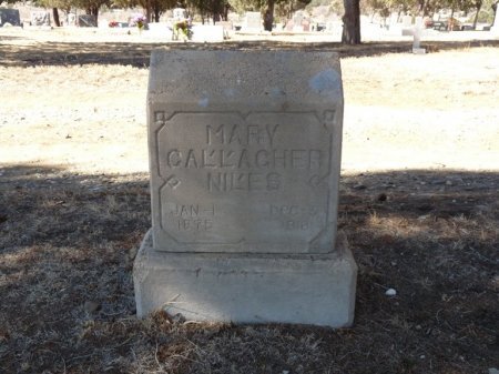 NILES, MARY ELIZABETH - Colfax County, New Mexico | MARY ELIZABETH NILES - New Mexico Gravestone Photos