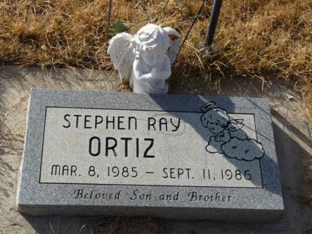 ORTIZ, STEPHEN RAY - Colfax County, New Mexico | STEPHEN RAY ORTIZ - New Mexico Gravestone Photos