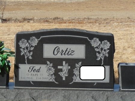 ORTIZ, THEODORE "TED" - Colfax County, New Mexico | THEODORE "TED" ORTIZ - New Mexico Gravestone Photos