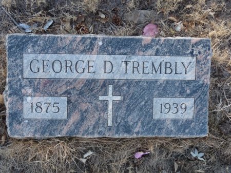 TREMBLY, GEORGE D - Colfax County, New Mexico | GEORGE D TREMBLY - New Mexico Gravestone Photos