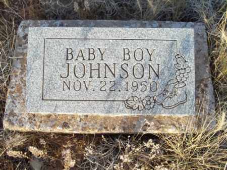 JOHNSON, BABY BOY - San Juan County, New Mexico | BABY BOY JOHNSON - New Mexico Gravestone Photos