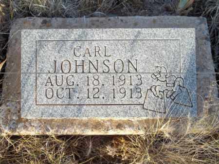 JOHNSON, CARL - San Juan County, New Mexico | CARL JOHNSON - New Mexico Gravestone Photos