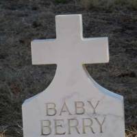 Baby BERRY