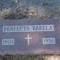 Perfecta BARELA