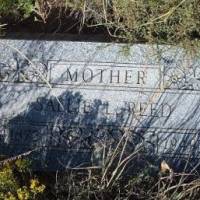 Sallie L REED